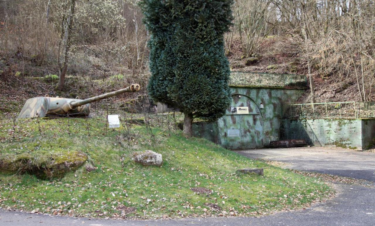 Fewo Pfaelzer Felsenlandschaft Pirmasens Bagian luar foto
