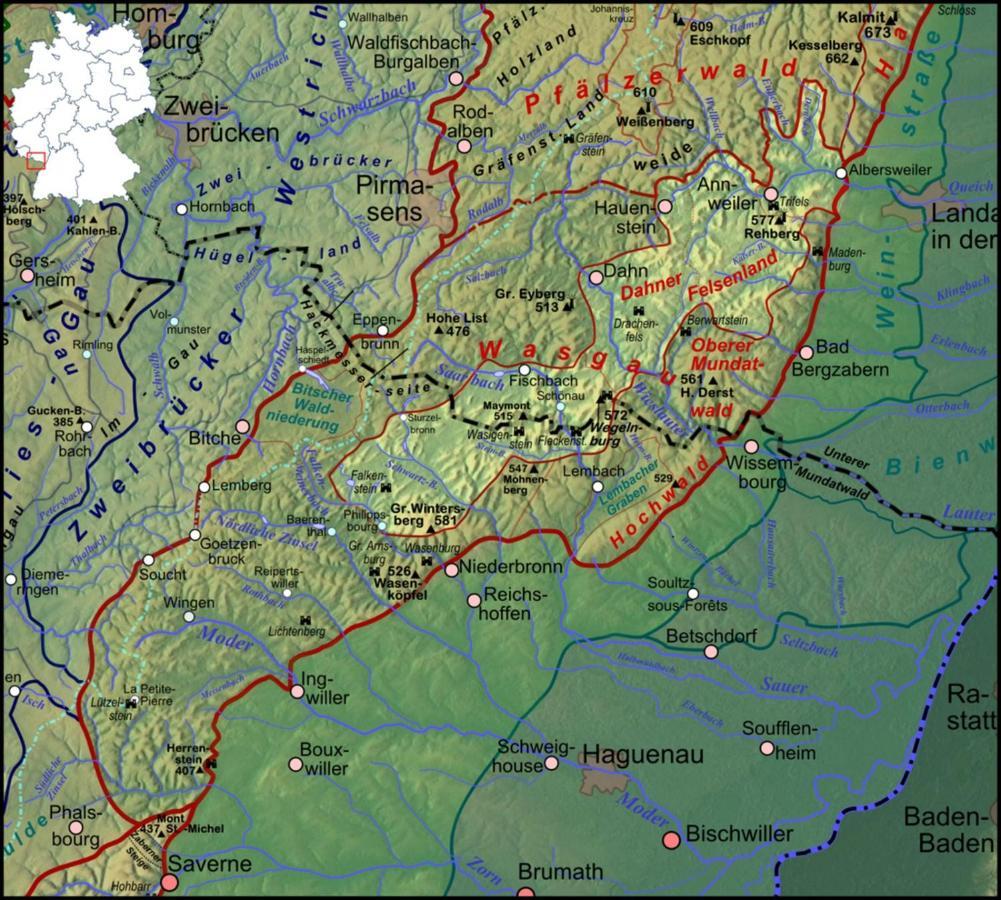 Fewo Pfaelzer Felsenlandschaft Pirmasens Bagian luar foto